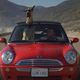 Image for article titled Marmaduke!: And 39 Other Blockbusters Coming Out Between May And August